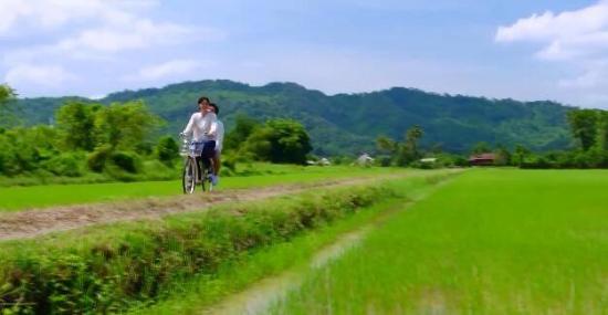 《我叫布萨芭》_第12集_分集剧情