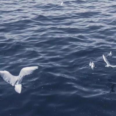 【励志】泽字励志的诗词（气势磅礴催人奋进的诗句）