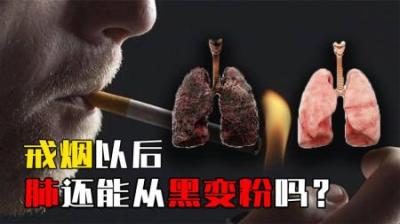 抽烟为什么会导致肺变黑？戒烟后还能重新变粉吗？看完涨知识