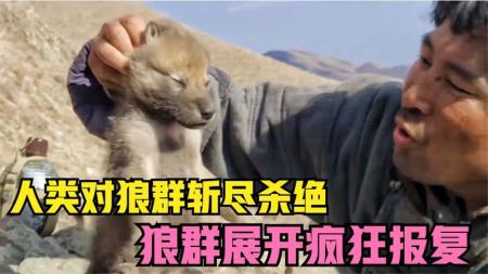 《狼图腾》解说文案《狼图腾》：野性的呼唤