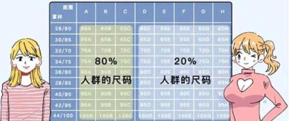 为啥女生的胸越大，内衣就越丑越贵？(简版)