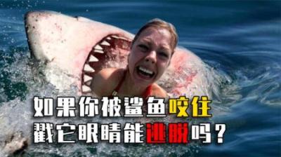 如果人被鲨鱼咬住，戳它眼睛真能逃脱吗？小伙冒生命危险尝试！