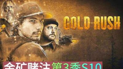 本年淘金过去90天，托德才开始淘金#淘金 #金矿 #纪录片解说