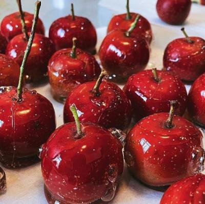 【感悟】青云乘风的感悟（有关青云的励志诗句）