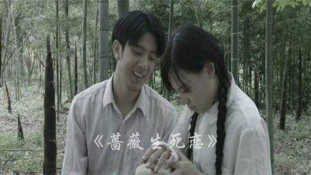 家庭电影《蔷薇生死恋》解说文案