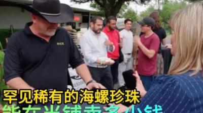 每年只产两三千颗海螺珍珠，能在当铺卖多少钱，老板砍价吓跑顾客