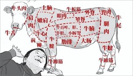中国各省，是如何瓜分一头牛的？