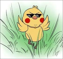 为什么头发是直的，私密处的毛却是卷的？