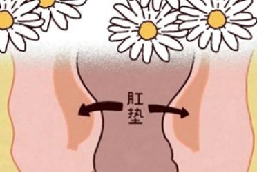 有多少人拉完屎要手动把菊花塞回去？