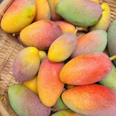 【爱情】爱情文案没有套路（关于爱情文案高级感）