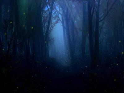 【唯美】女人对生活感悟的句子说说（女人的生活感悟心情短语）