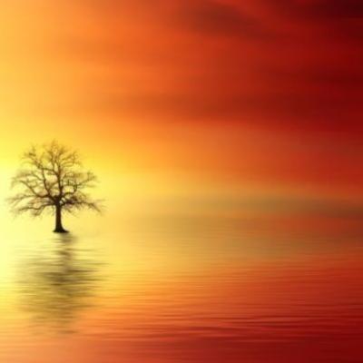 【唯美】偶遇的句子唯美短句友情（友情相遇的唯美句子）