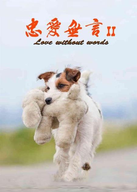 《忠爱无言》解说文案扎心的“人狗温情”永远不败，比如《忠爱无言》