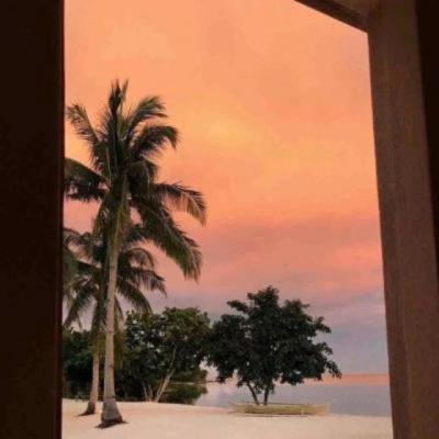 【感悟】学生自我诊断学习感悟（学生自我评价及学习建议）