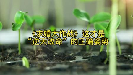 《求婚大作战》解说文案《求婚大作战》张艺兴：一名始终努力“奔跑”的演员