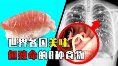 世界各国美味但危险的食物，苍蝇汉堡、臭鲨鱼，敢吃的都是狠人！