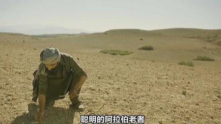 《入侵》人类遭遇降维打击，外星三足生物《入侵》地球！科幻