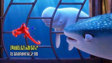 《海底总动员2：多莉去哪儿》解说文案《寻找多莉》：如果你爱我，你会来找我