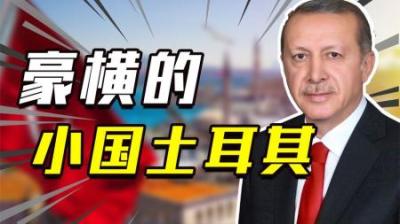 扼喉俄罗斯，勒索中国，小国土耳其为什么能这么豪横？