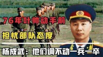 叶帅决定动手前，担忧部队态度，杨成武：他们调不动一兵一卒