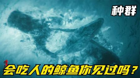 2203年最新灾难惊悚悬疑片《种群》会吃人的鲸鱼你见过吗？