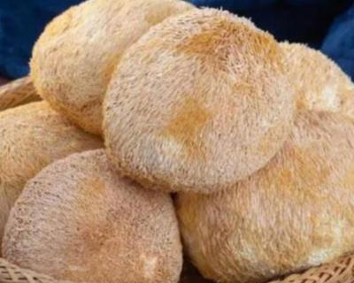 明代宫廷的残酷佳肴：探究三道令人胆寒的珍馐