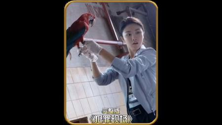 《犯罪现场》解说文案犯罪现场：结尾比较遗憾