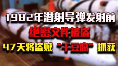 82年潜射导弹发射前，绝密文件失踪，警察47天抓获凶手“干豆腐”