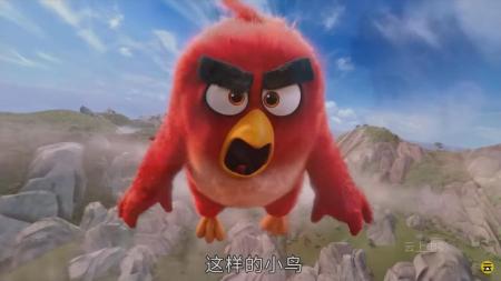 《愤怒的小鸟》解说文案【热映点评】娱乐至上，愤怒开场——简评《愤怒的小鸟》