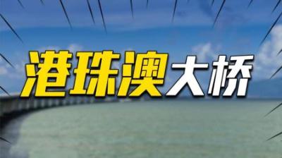 美国人无法理解：为何中国耗费千亿，也要打造一座使用率极低的桥