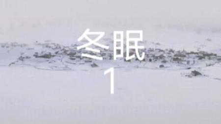 《冬眠》解说文案老作家的日常——《冬眠》