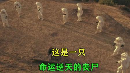 《牛头悲歌》解说文案《顽固份子》：凑巧从结局开始
