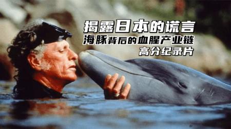 《海豚湾》海豚专家揭露了日本太地町的屠杀暴行《海豚湾》