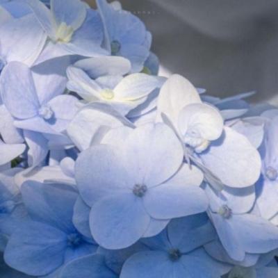 【感悟】疯狂原始人2人生感悟（疯狂原始人2 语录）