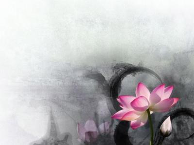 【感悟】三国杀经典感悟（三国杀经典版本台词）