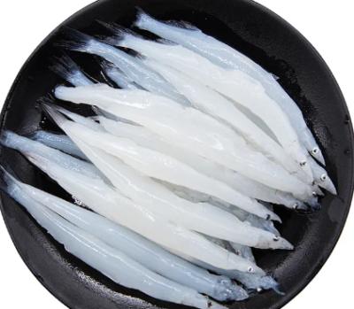 探秘海中珍馐：中国四大贵人鱼的魅力与神秘