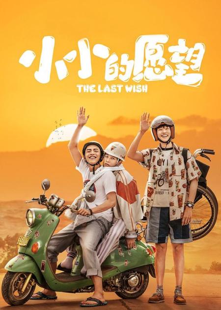 6分钟看完《小小的愿望》小小的心愿#影视解说