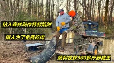 国外猎人为了免费吃肉，花重金远赴非洲狩猎，收获300斤大野猪！