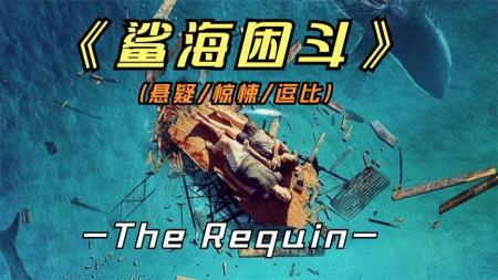 惊悚《鲨海困斗》电影解说文案