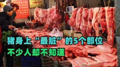 猪身上最脏的5个部位 ，专家建议要少吃，很多人都不知道