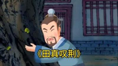 三兄弟为了分家，连院子中的树也不放过#童年动画 #国产动画