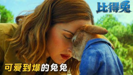 《比得兔》解说文案人兔斗翻天