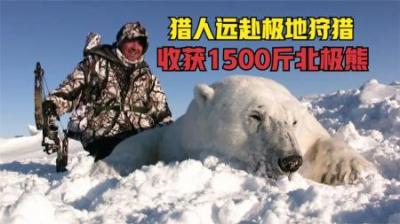 国外猎人为了免费吃肉，花重金远赴非洲狩猎，收获2000斤长颈鹿！