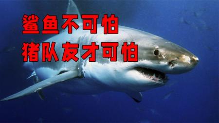 《大浪白鲨》：鲨鱼口中要活命，小心这种人，别总盯着他老婆看.mp3