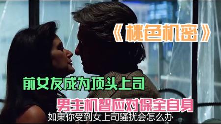 惊悚电影《桃色机密》电影解说文案