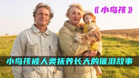 《小鸟人》小鸟孩被人类抚养长大，一部催人泪下的感人故事《小鸟人》