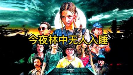 电影《今夜林中无人入睡》解说文稿