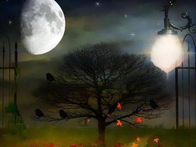 【伤感】朋友圈情侣伤感文案（朋友圈情侣的文案甜美句子）