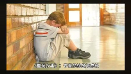 《壁花少年》解说文案壁花依旧