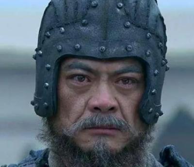 魏延在《三国演义》中的身份之谜